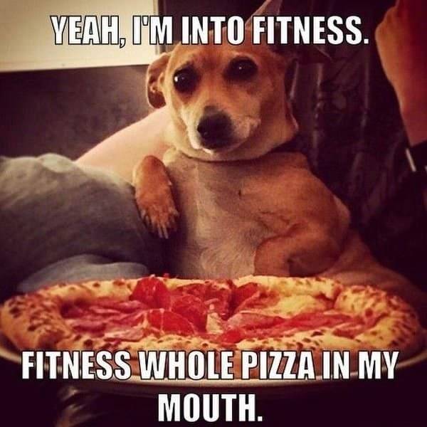 Fitness Is Hard. Memes Are Not