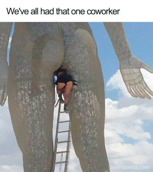 Coworker Memes Are Only For Highly Tolerant People
