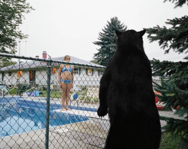 Daily Picdump