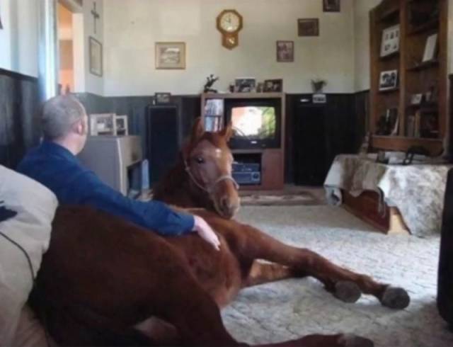 Hard-to-explain WTF Photos