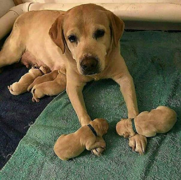 Morning Picdump