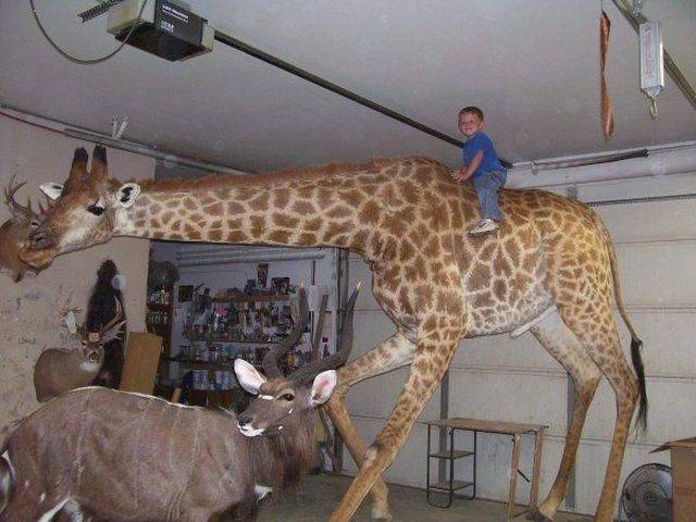 Daily Picdump