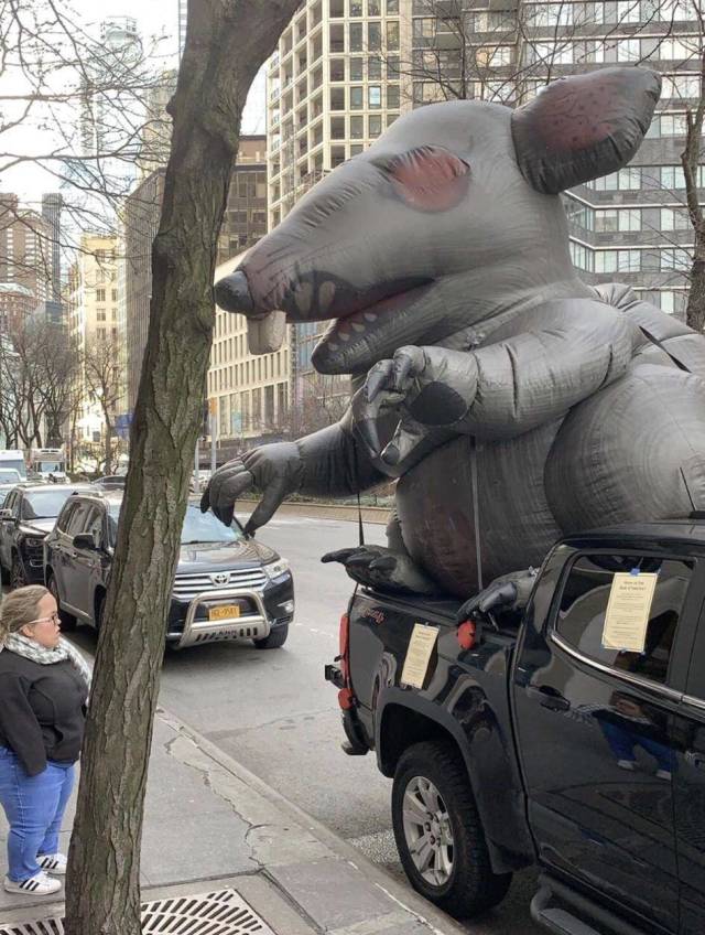 Morning Picdump