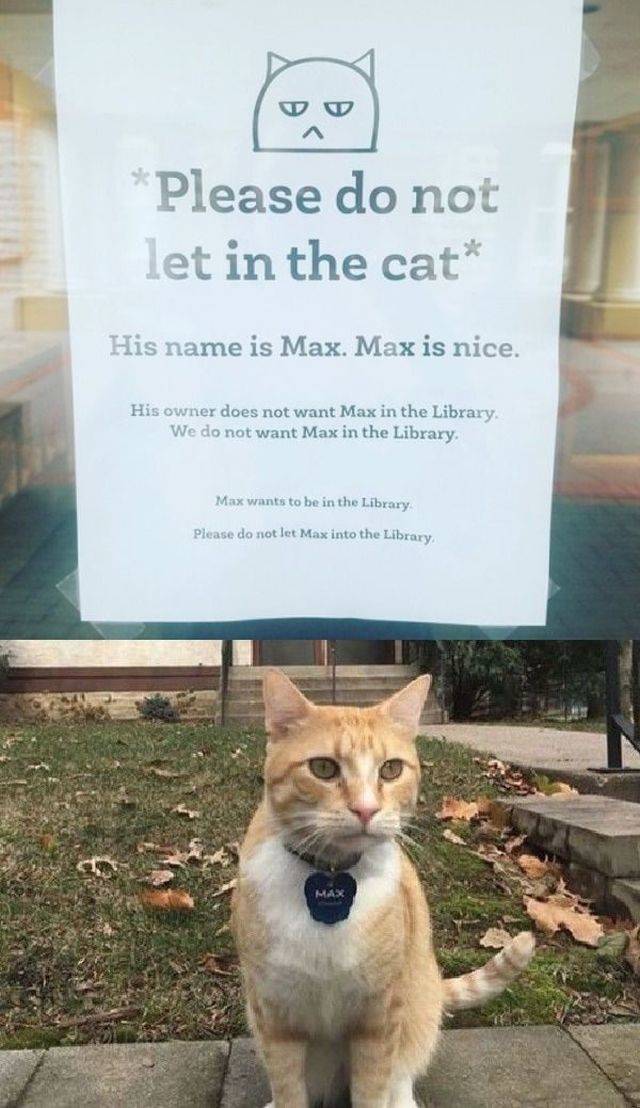 Daily Picdump [WEEKEND EDITION]
