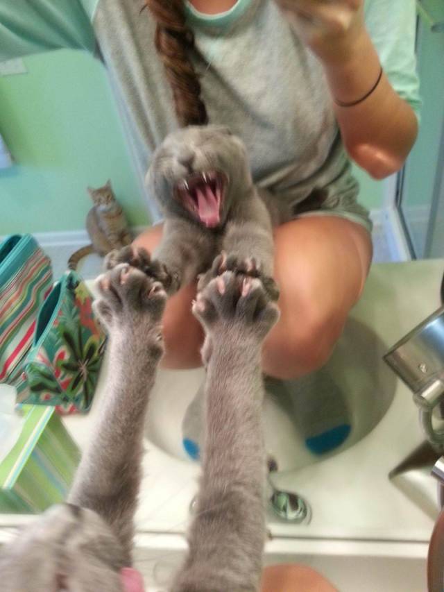 Daily Picdump