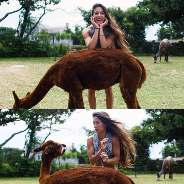Daily Picdump