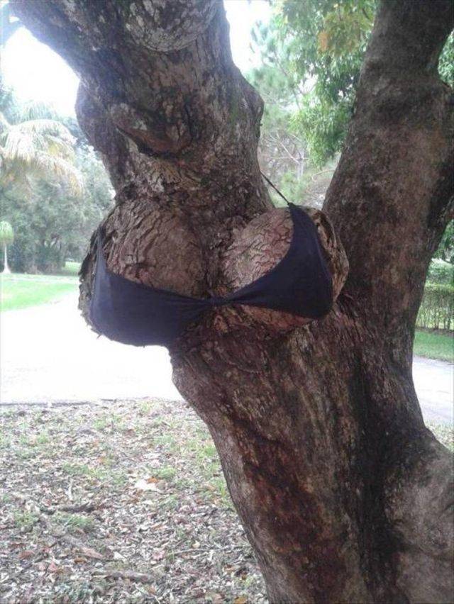 Dirty Mind, Come Here!