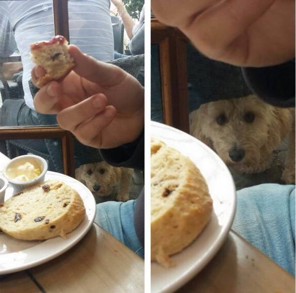 Daily Picdump