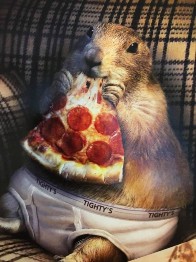 Daily Picdump
