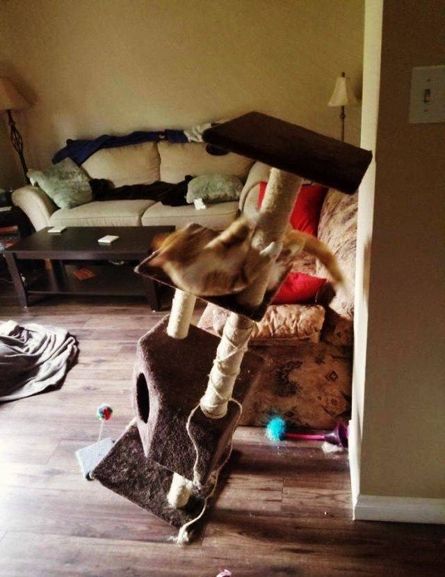 Daily Picdump