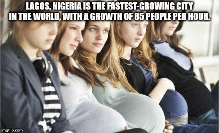 Everyone Likes Facts!