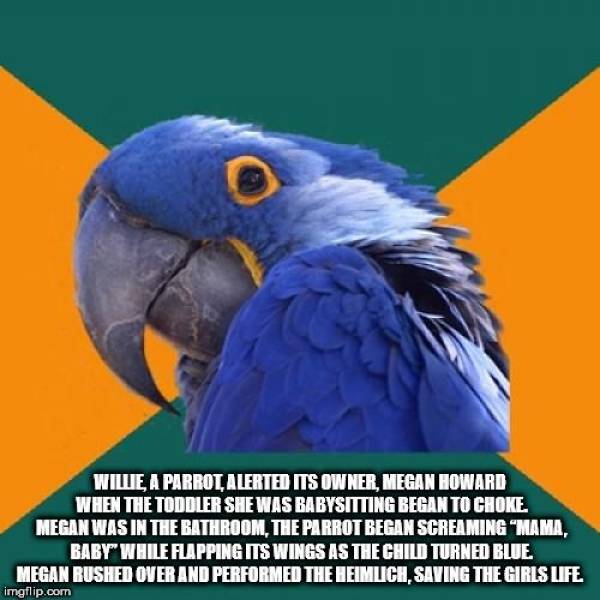 Everyone Likes Facts!