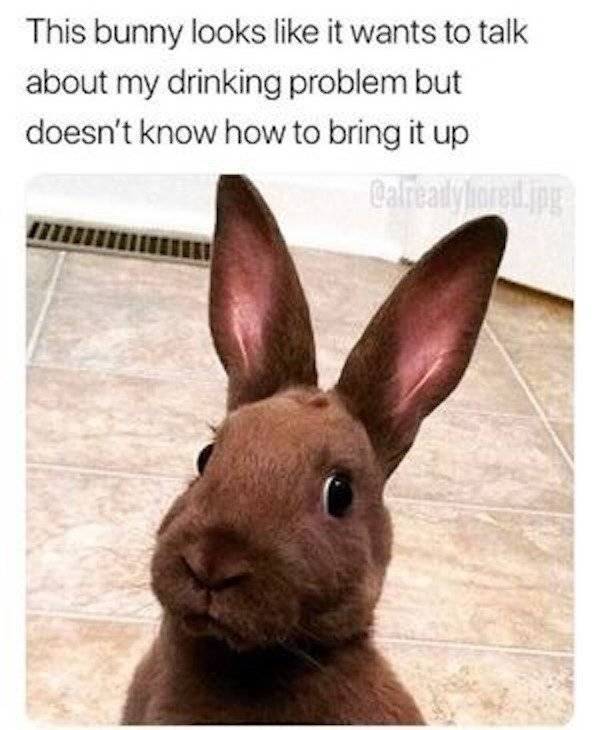 Drunk People Do So Many Stupid Things