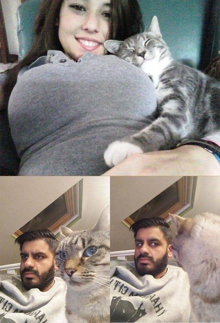 Daily Picdump