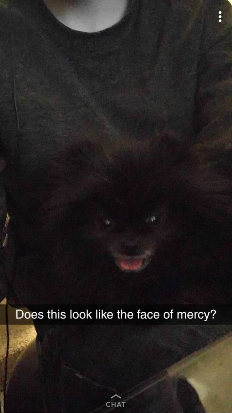 Funny Picdump