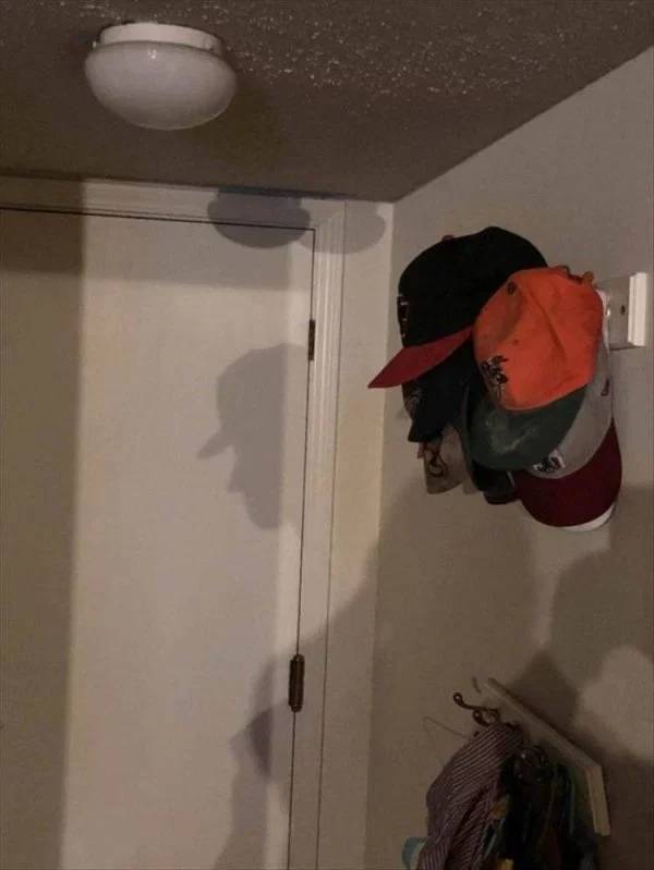 Pictures That Will Make You Look Twice