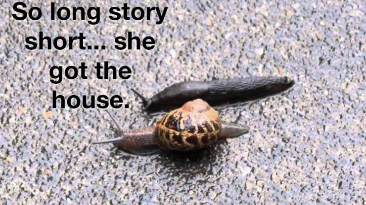 Funny Picdump