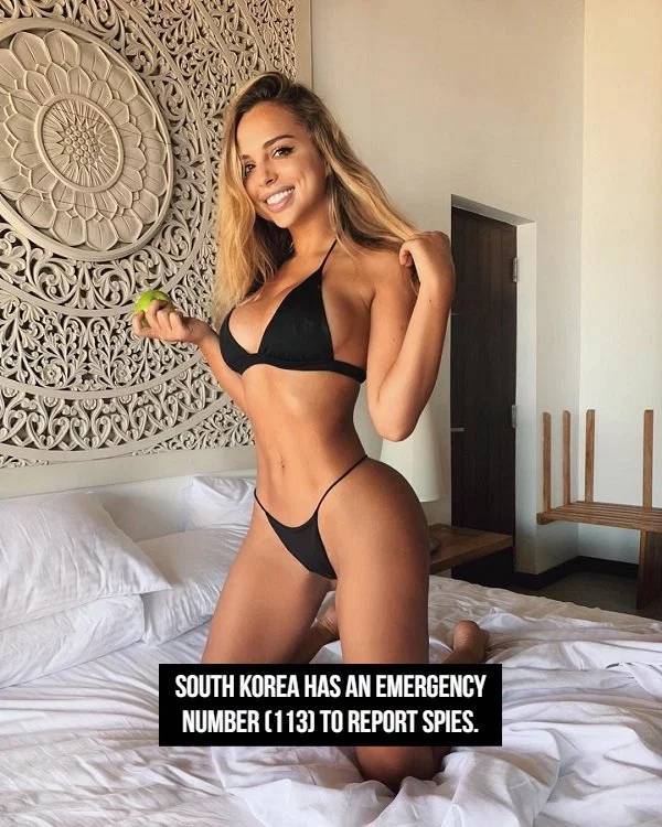 Facts Go Best With Beauties