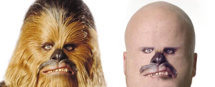 Funny Picdump