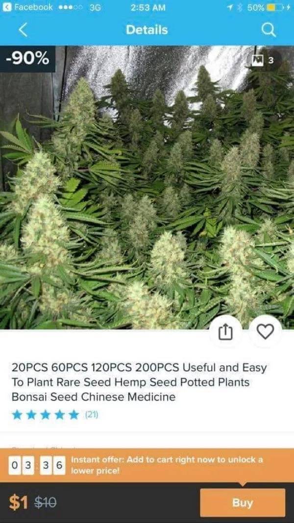 Wish.com Is The Definition Of WTF