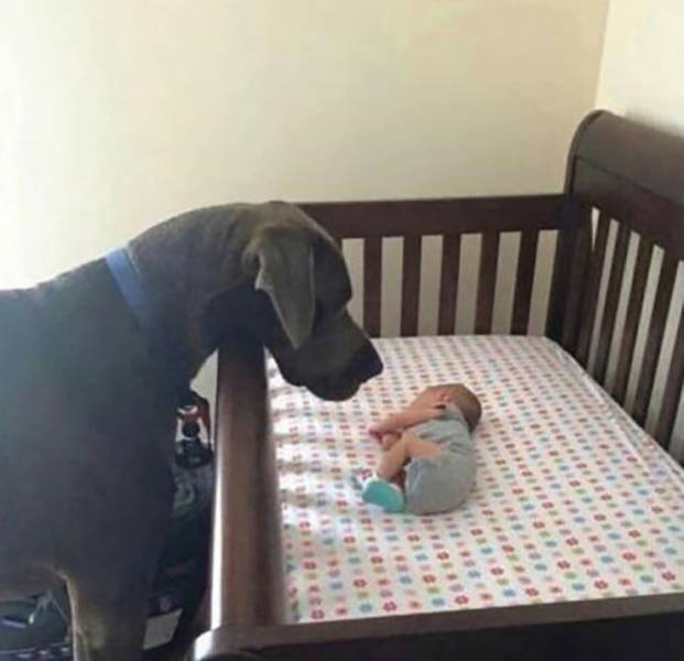 Morning Picdump