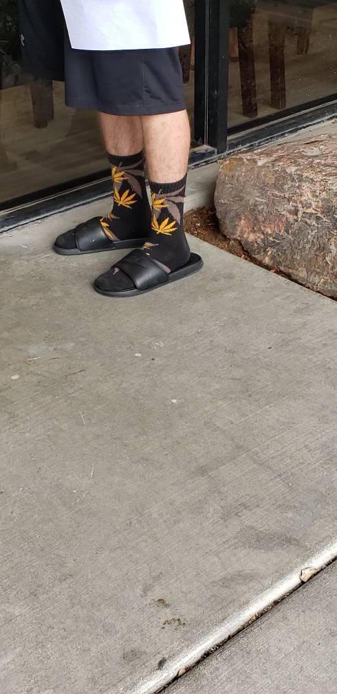 Morning Picdump