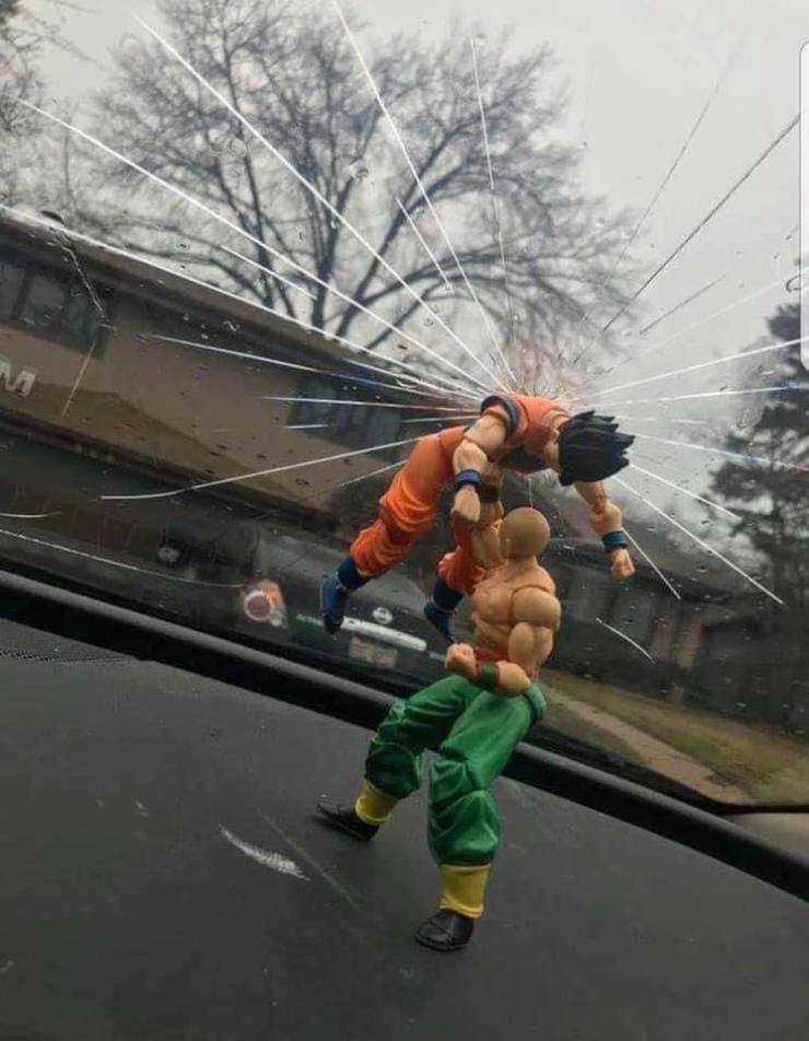 Morning Picdump