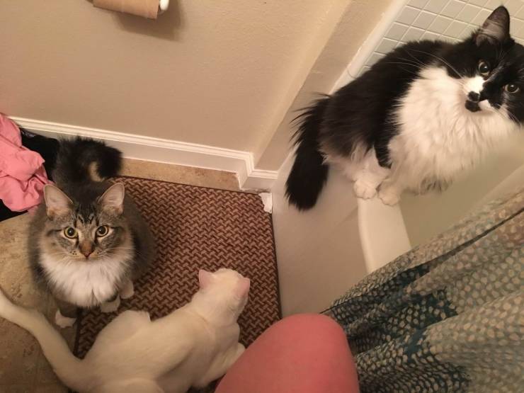 Daily Picdump
