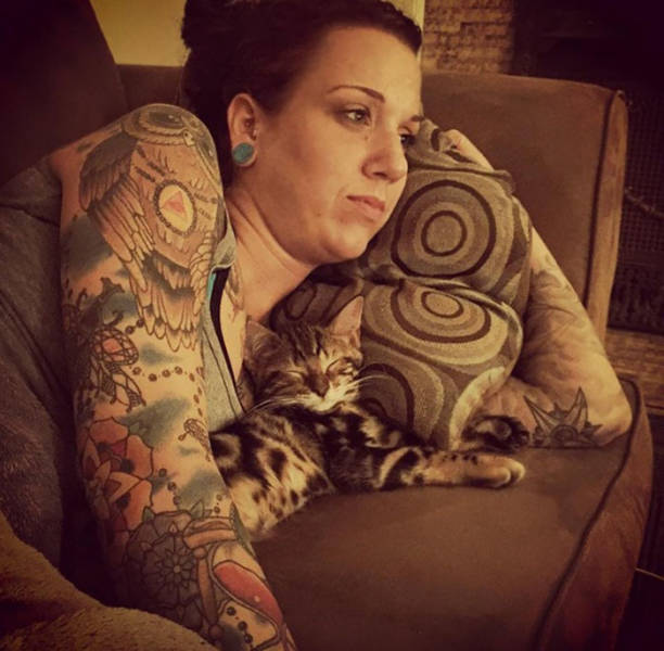 They Said They Didn’t Want A Cat…