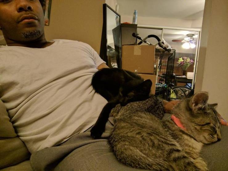 They Said They Didn’t Want A Cat…
