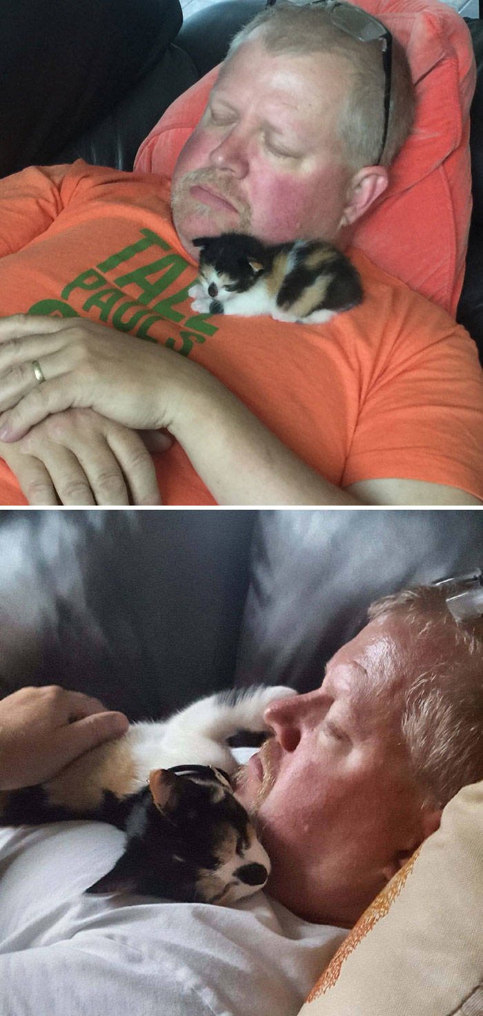 They Said They Didn’t Want A Cat…