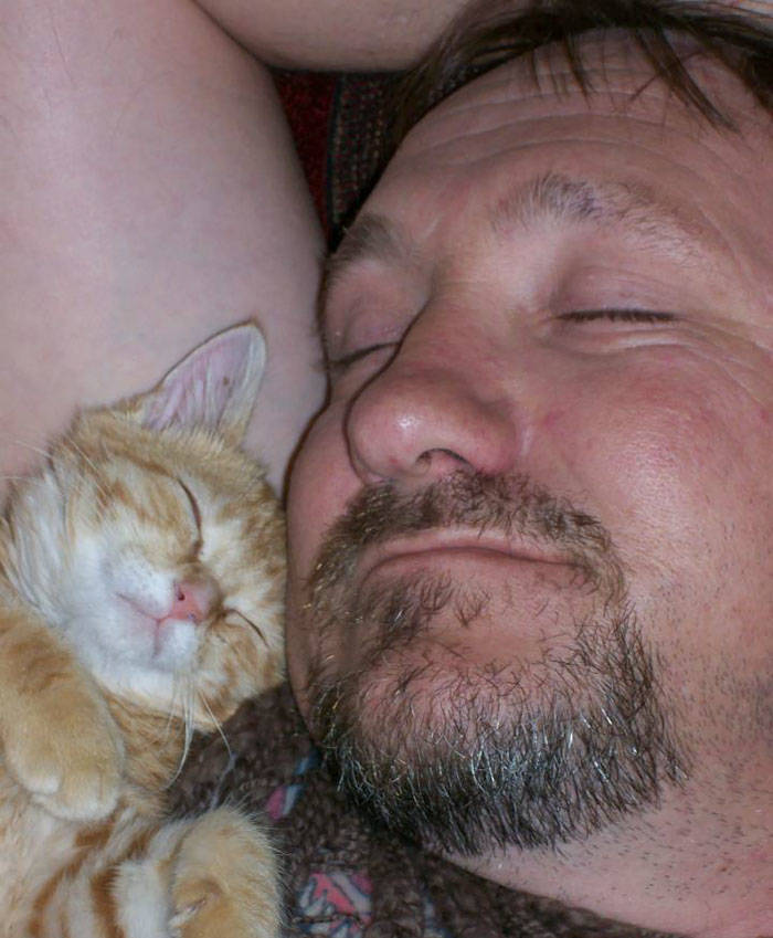 They Said They Didn’t Want A Cat…