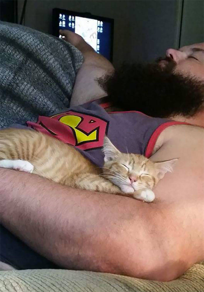 They Said They Didn’t Want A Cat…