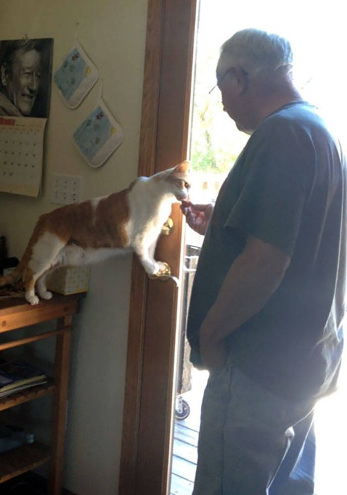 They Said They Didn’t Want A Cat…
