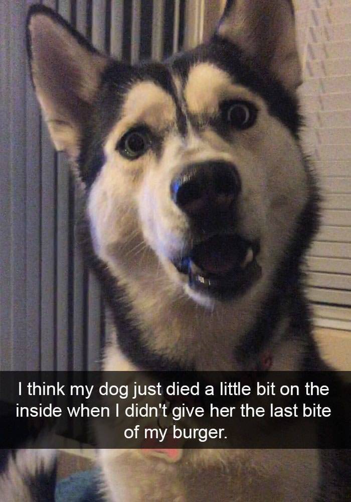 The Funniest Stuff Internet Could Provide