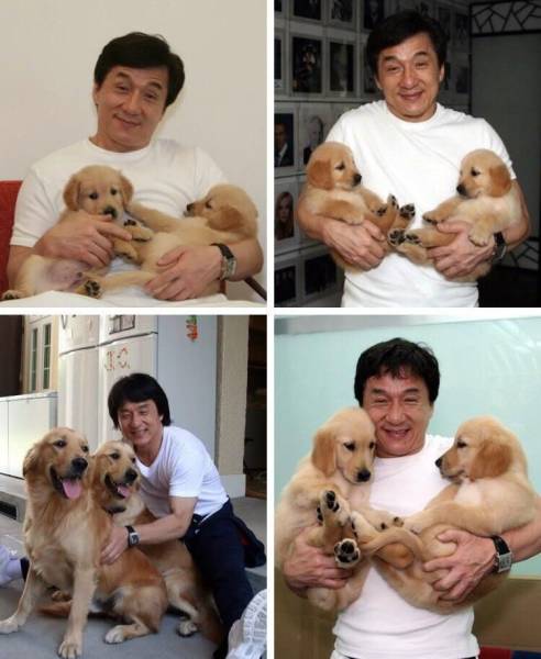 Daily Picdump