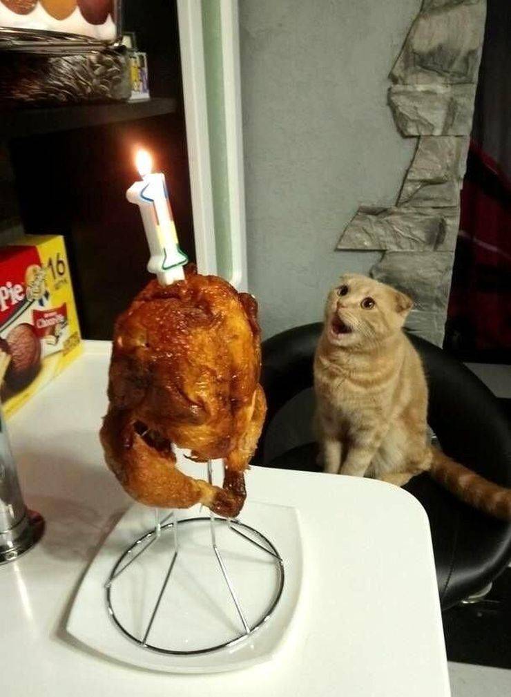 Daily Picdump