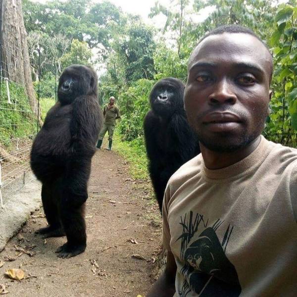 Daily Picdump
