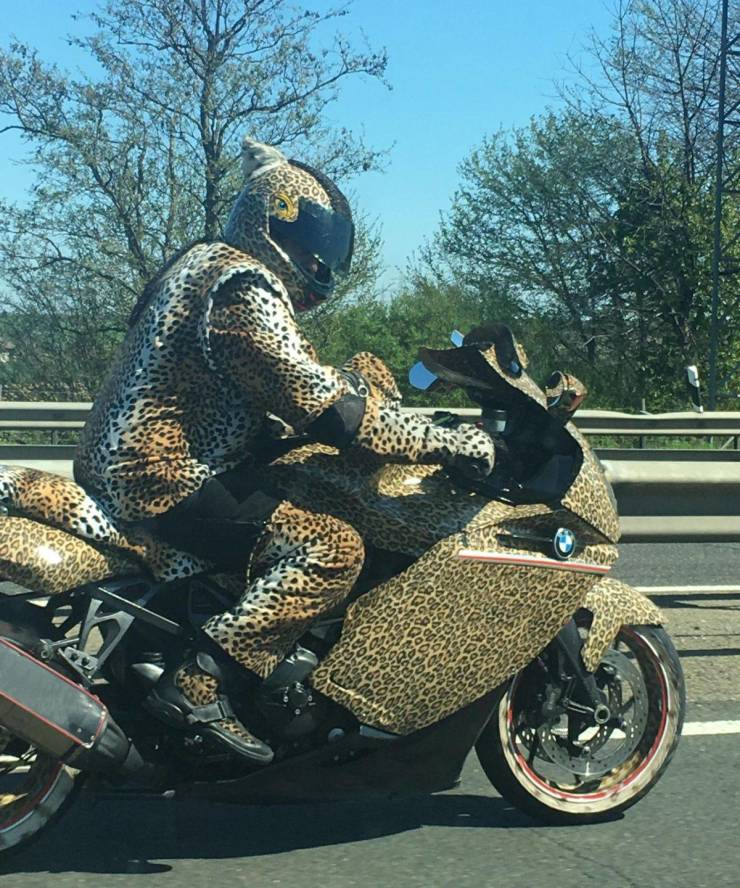 Daily Picdump