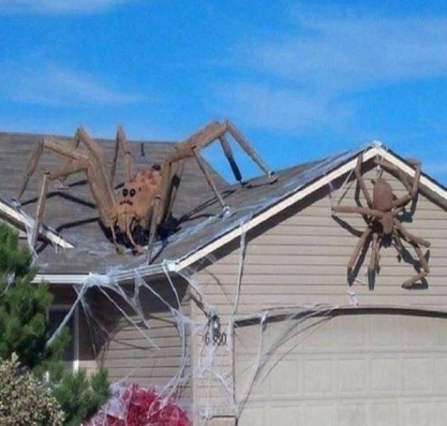 And That Will Be A NOPE