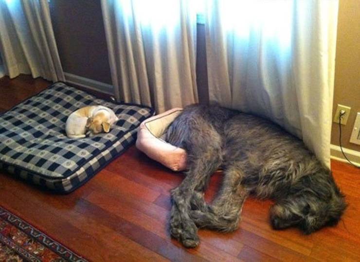 Daily Picdump