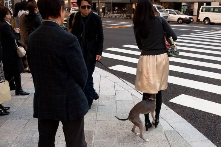 Daily Picdump