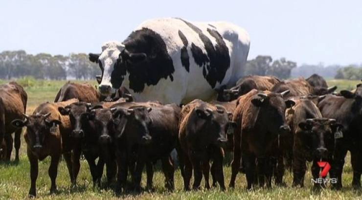 Still Think Size Doesn’t Matter?