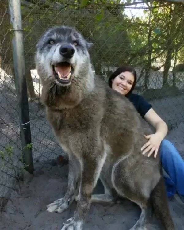 Still Think Size Doesn’t Matter?