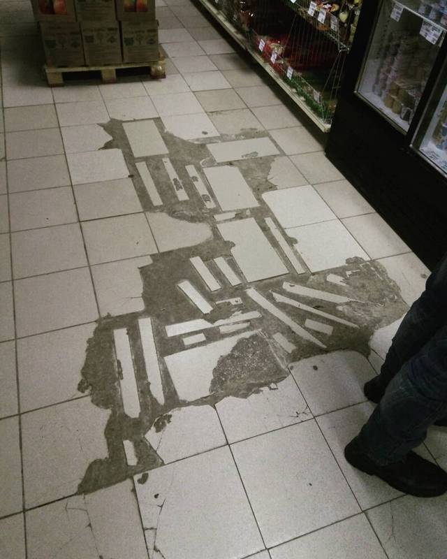 Morning Picdump
