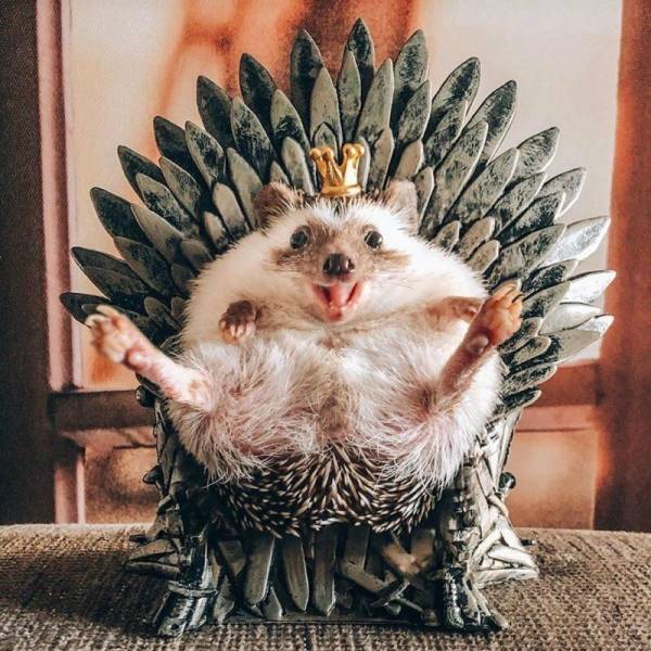 Daily Picdump