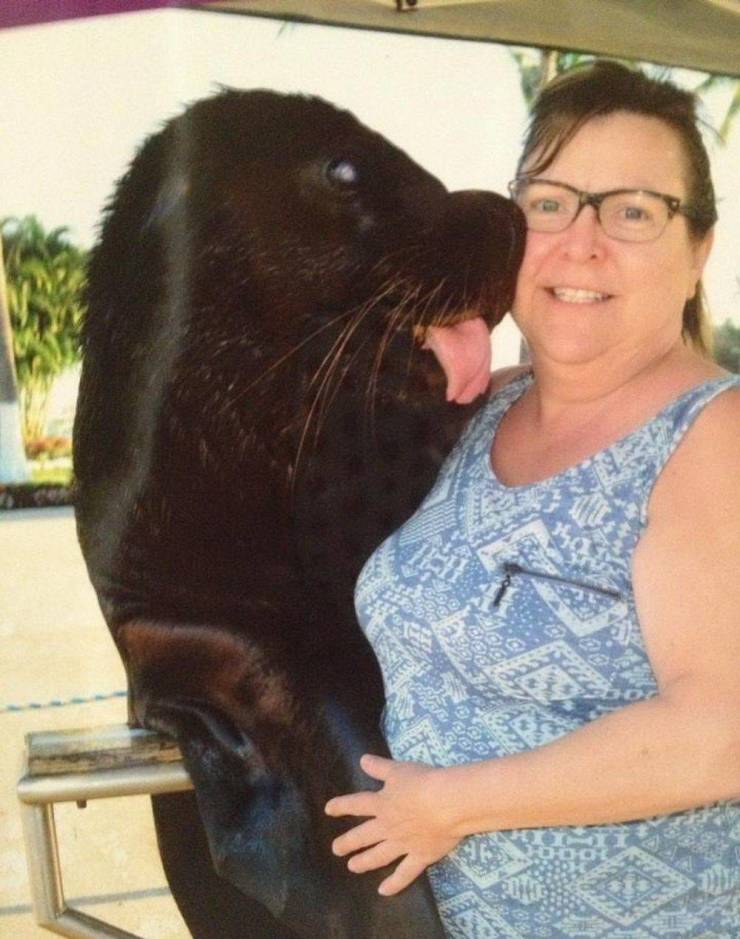 Daily Picdump