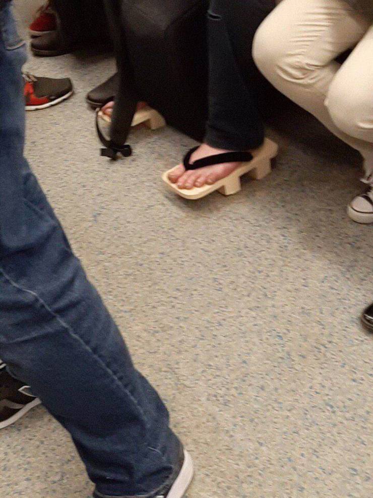 Daily Picdump