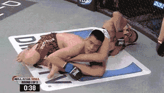 GIF Science At Its Absolute Best