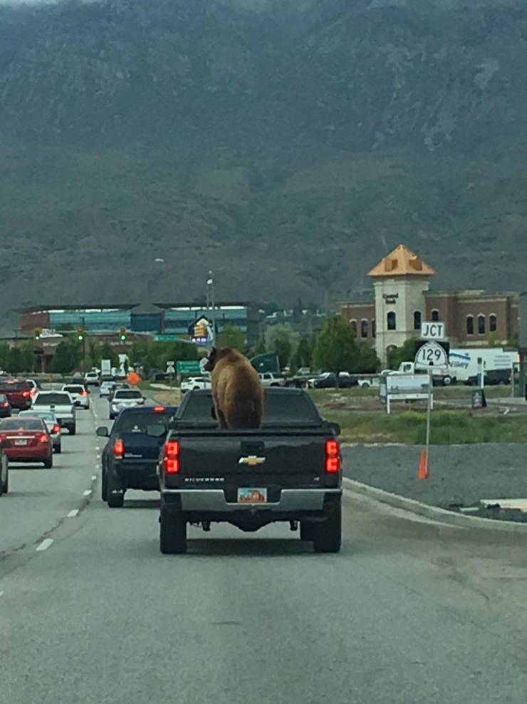 Morning Picdump